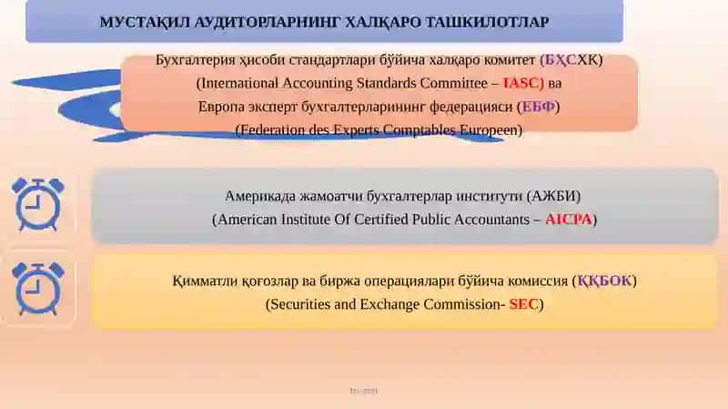 АУДИТ СТАНДАРТЛАРИ 4