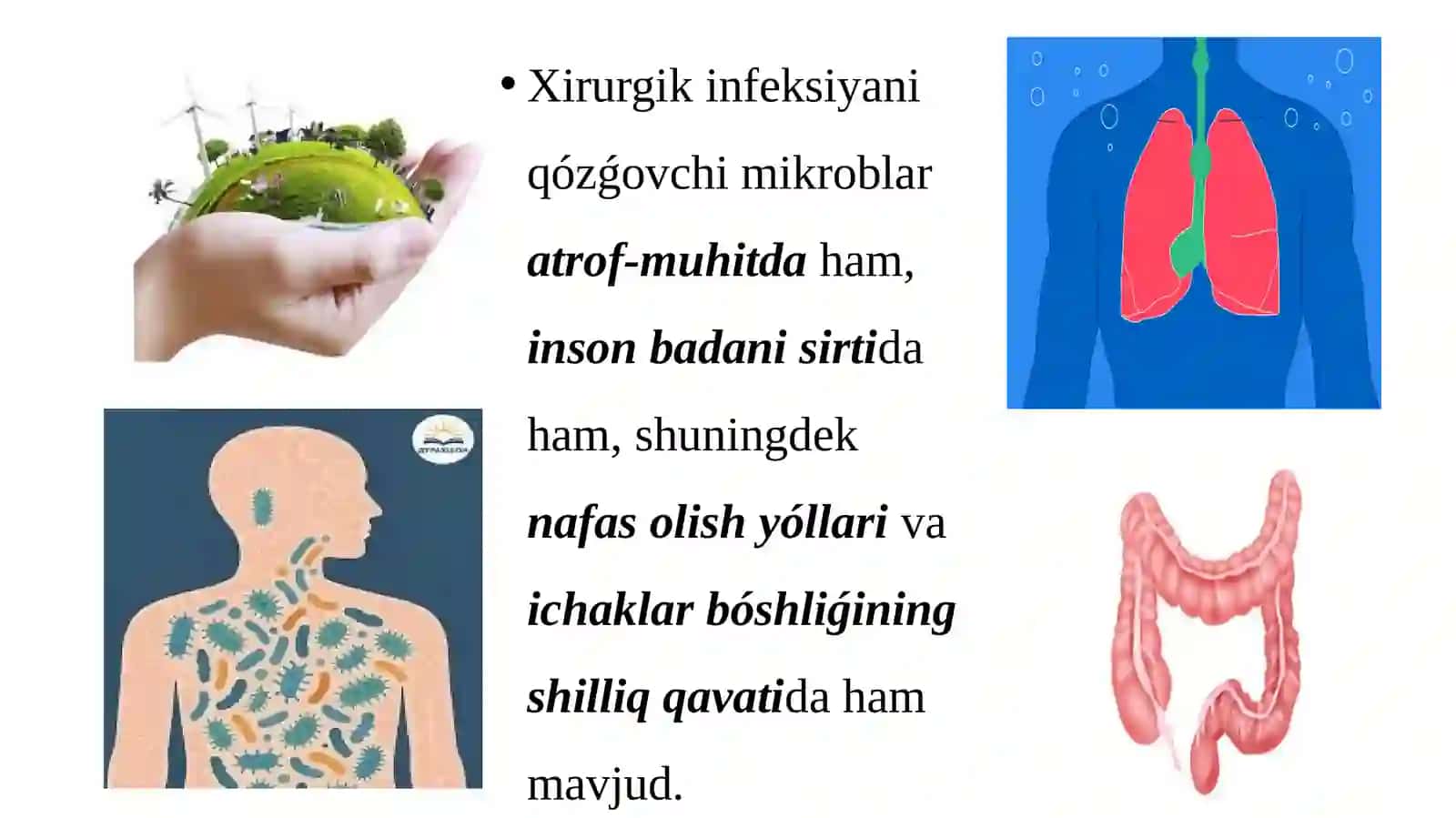 Xirurgiyada gospital infeksiyaning profilaktikasi 4