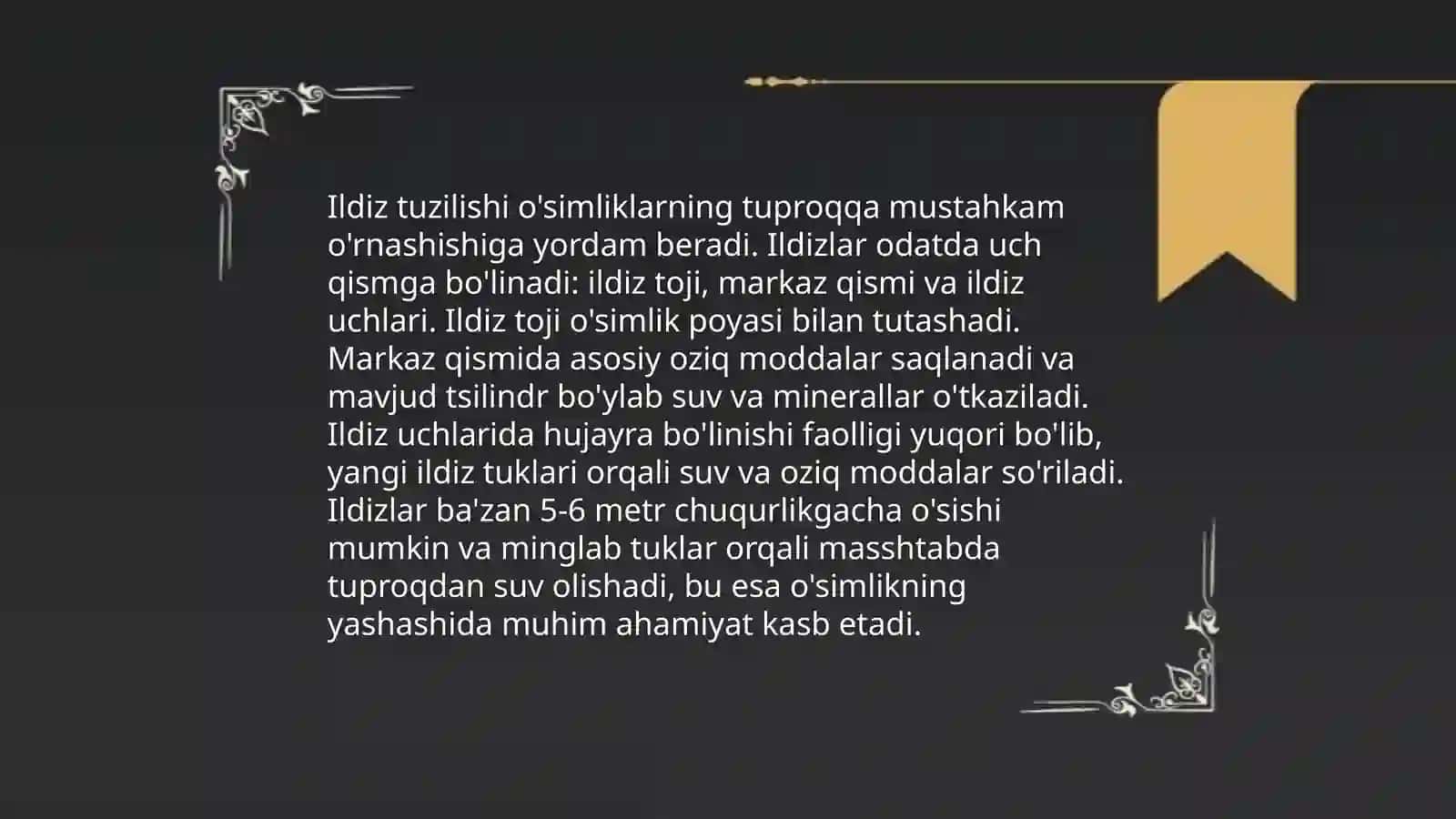 Barg tuzilishi 4
