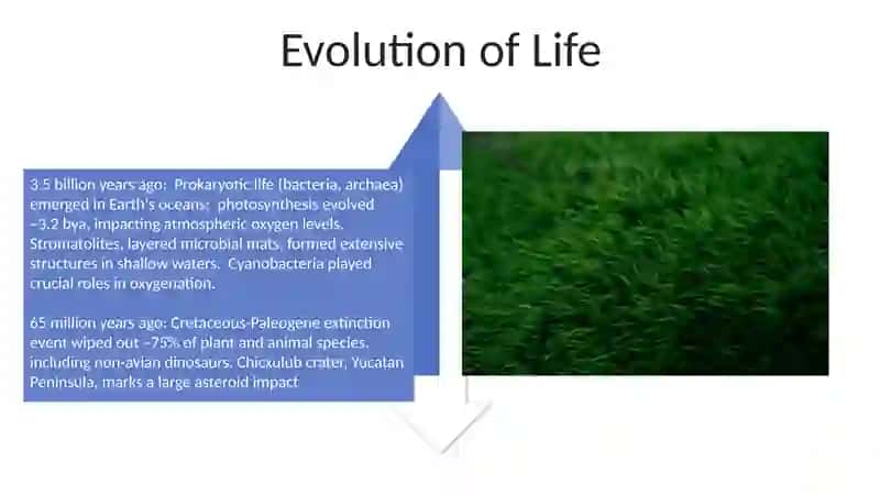 LIFE ON EARTH 4