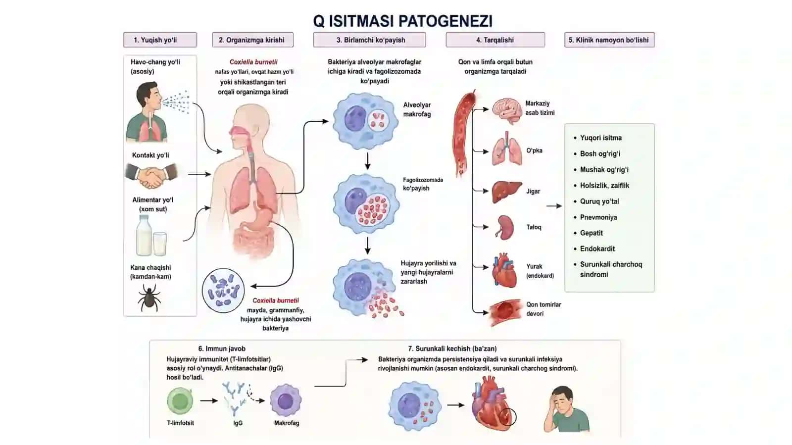 Q isitmasi 4