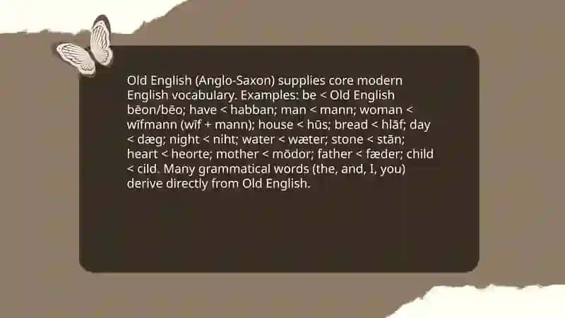 Etymology 4