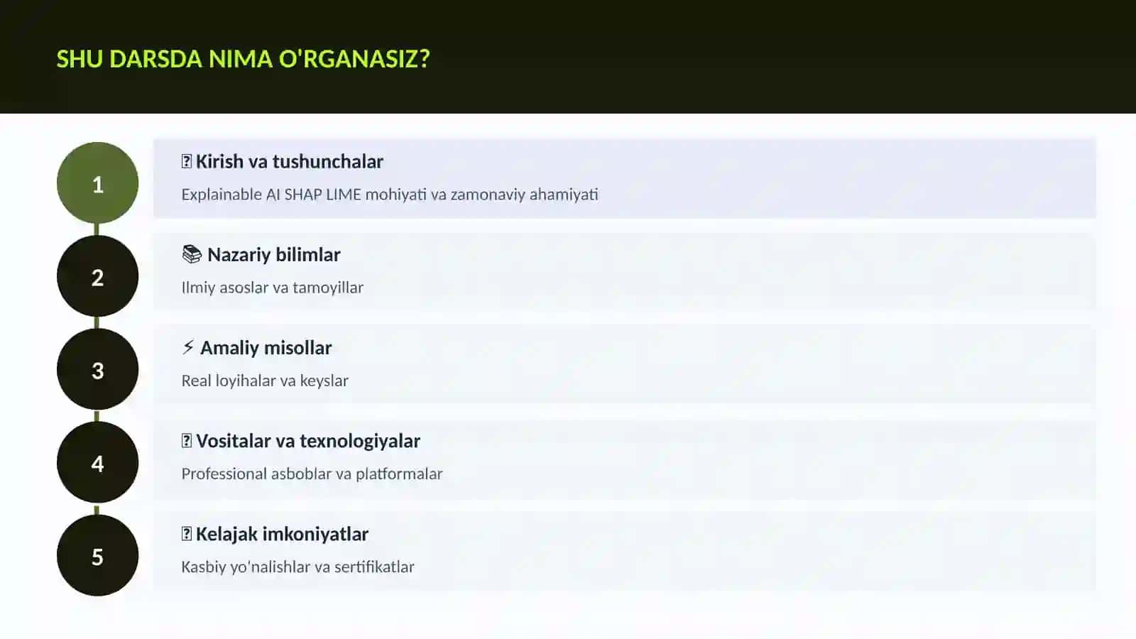 Explainable AI SHAP LIME 4