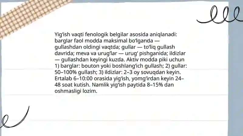 Dorivor oʻsimliklarni yigʻish quritish va saqlash 4