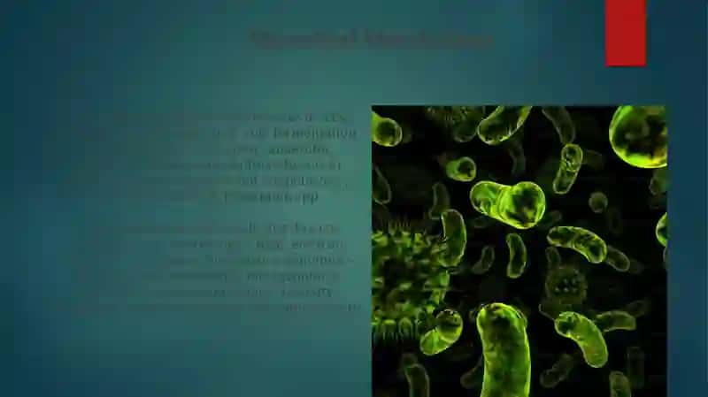 Microorganisms and Microbiology 4