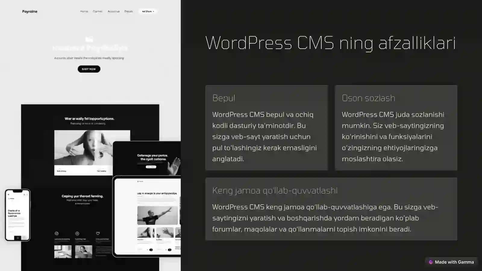 WordPress CMS: Imkoniyatlar Olamiga Sayohat 4