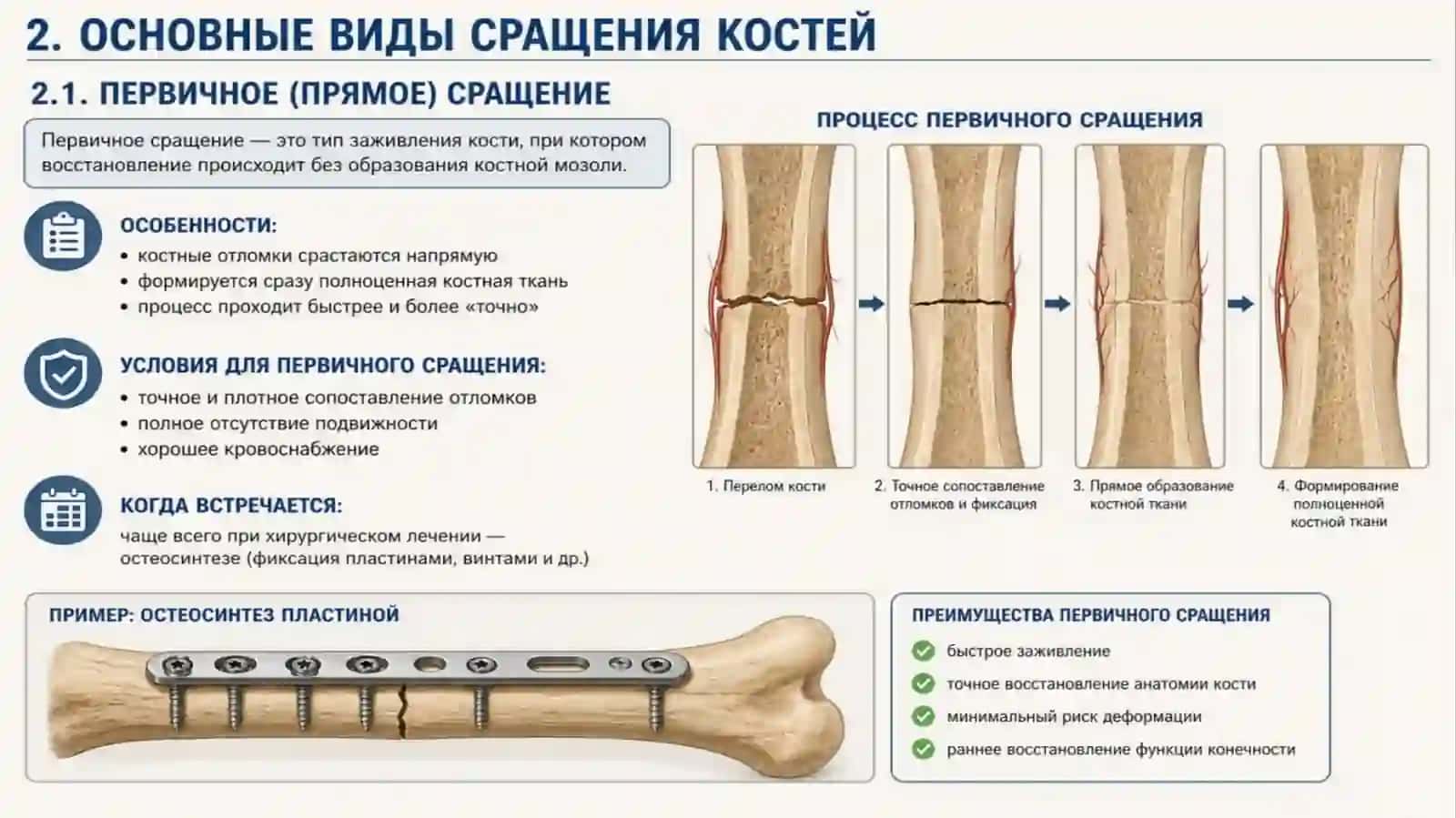 Виды сращение костей 4