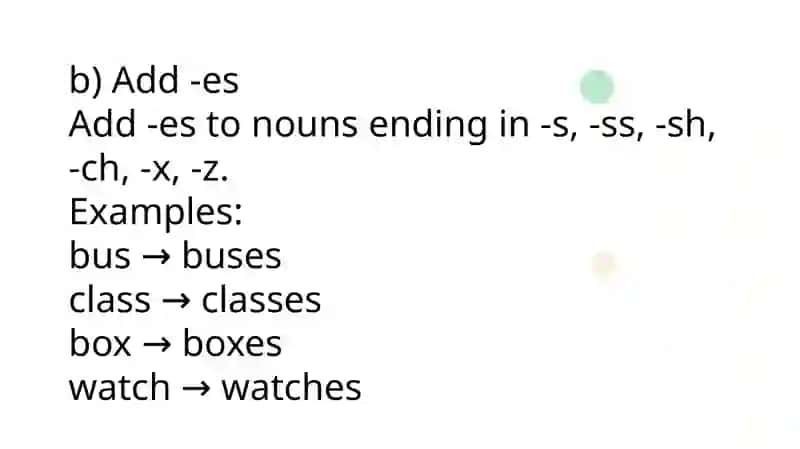 Plural Form of Nouns 4