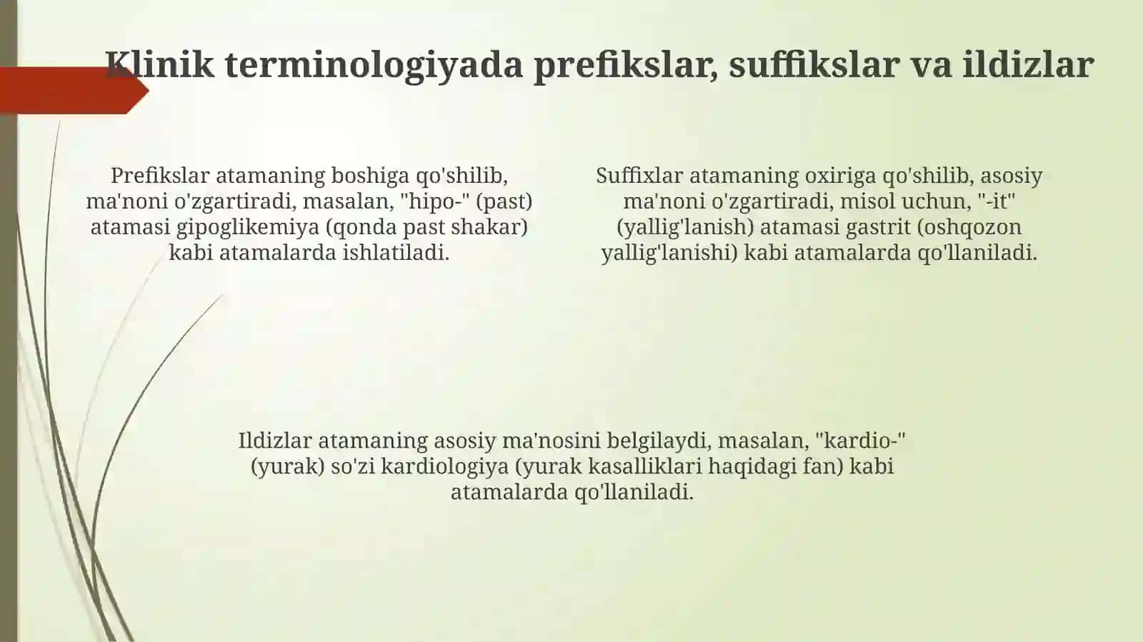 Klinik terminlar yasovchi atama elementlar 4