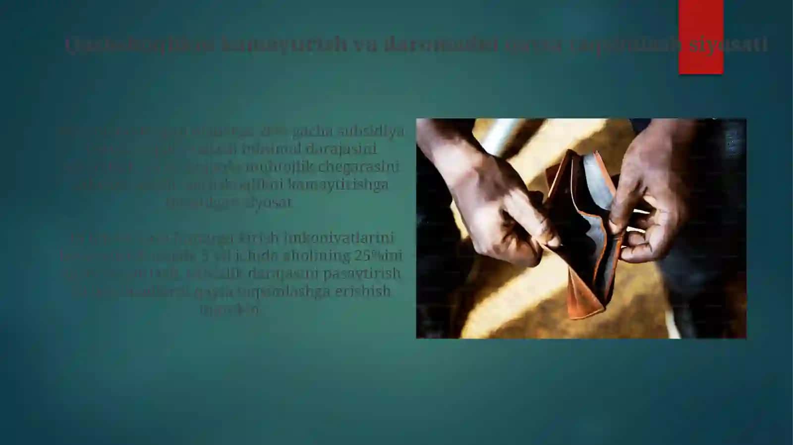 Qashshoqlikni kamaytirish va daromadlarni qayta taqsimlash siyosat 4