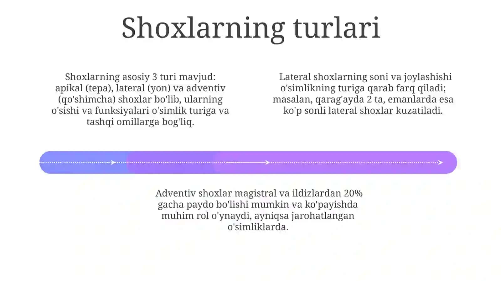 DARAXT VA SHOXALARGA KIRISH 4