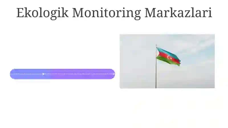 Ekologiya sohasida maxsus vakolatli davlat boshqaruvi organlari va ularning vazifalari 4