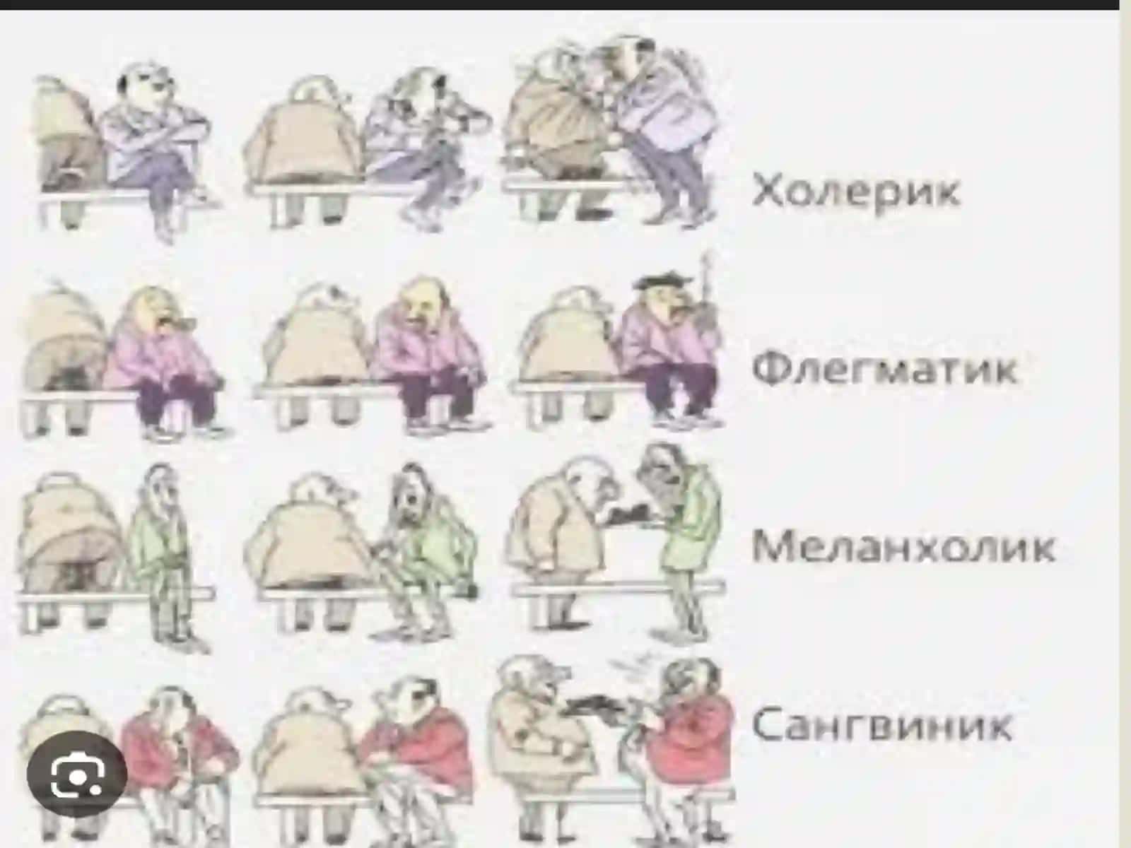 Temperament shaxs tuzilmasi sifatida 4