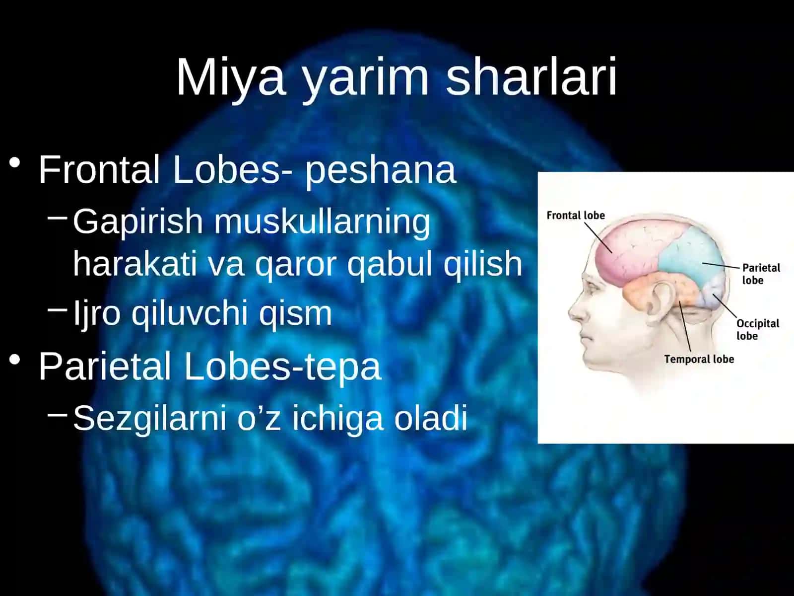 Boshnervlari 4