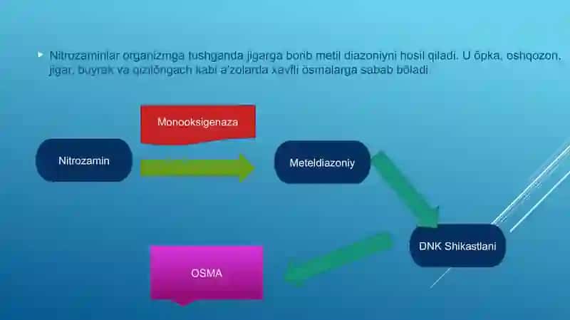 Onkogenez 4