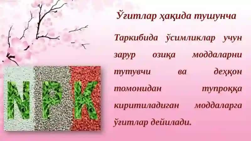 Азотли ўғитлар 4