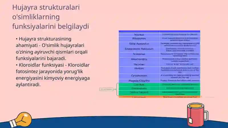 O'simliklar Evolyutsiyasi va Hujayra Biologiyasi (Sitologiya) 4