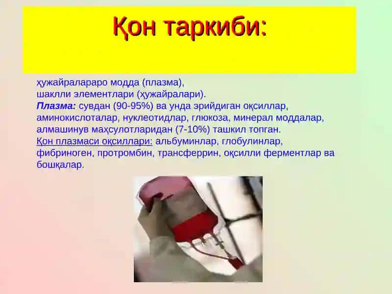 Қon tizimi 4