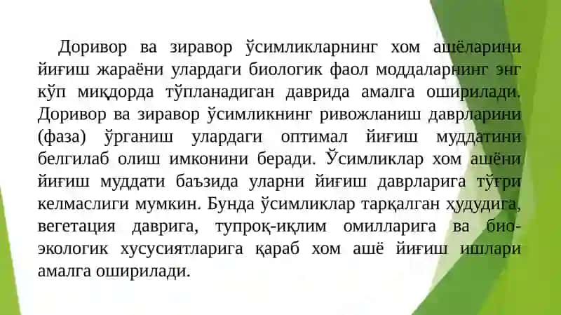 Доривор ўсимликлар 4