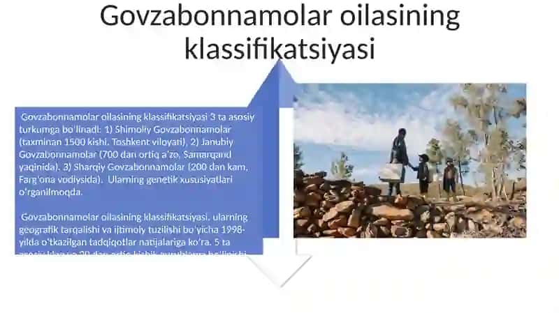 Govzabonnamolar qabilasi 4