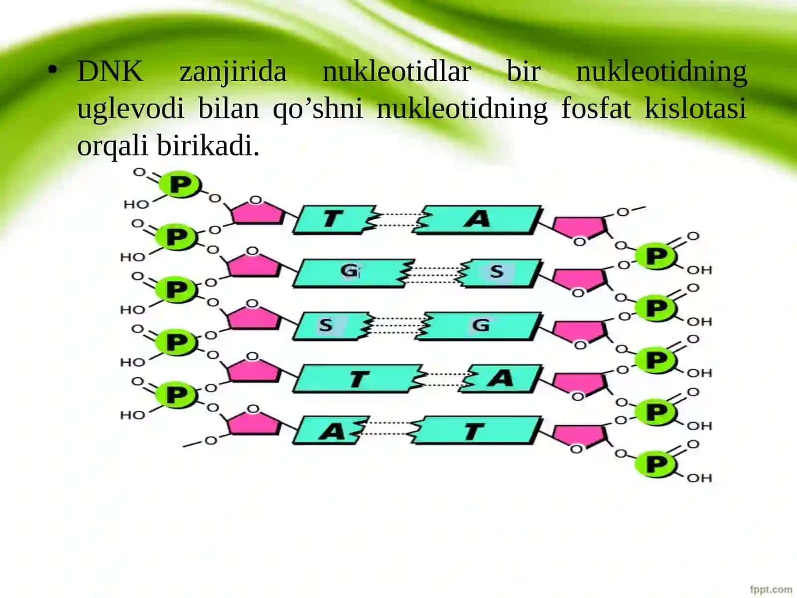 DNKqush spirali 4