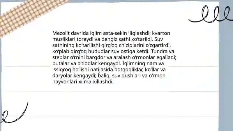 Mezolit davri 4