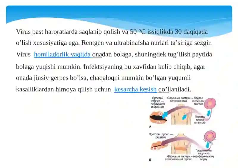 Gerpesvirusi 4