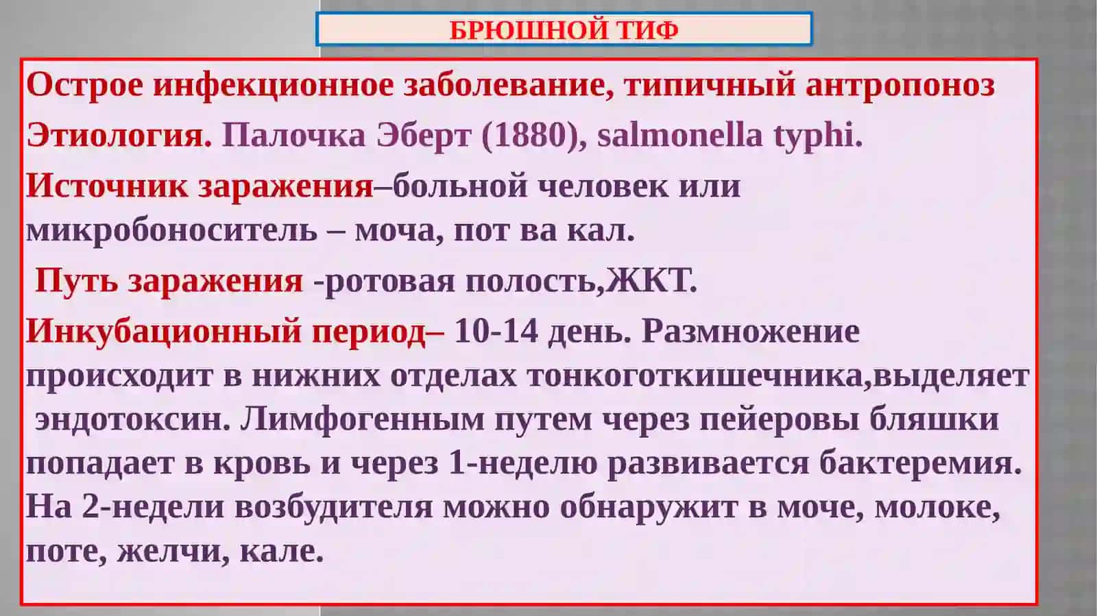 Кишечные инфекции 4