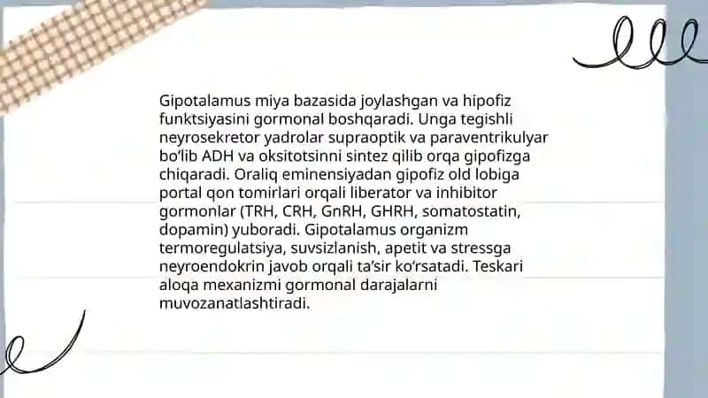 Endokrin tizimi 4