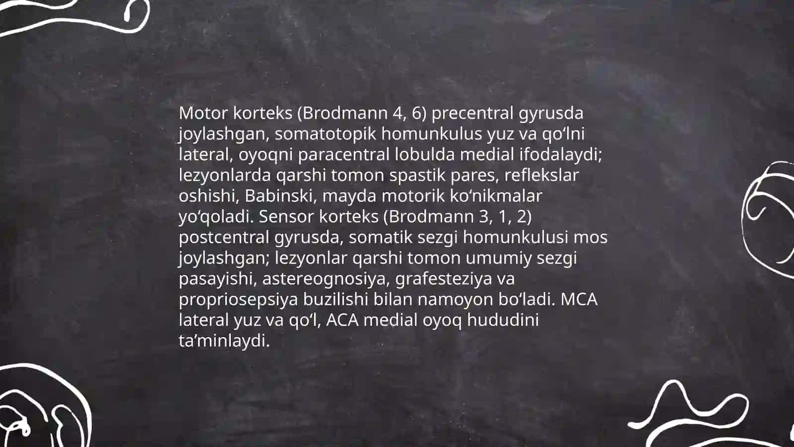 Bosh sohasining klinik anatomiyasi 4