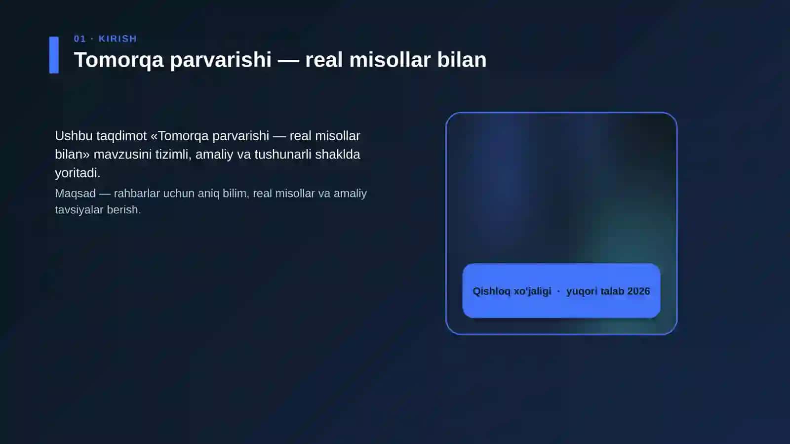 Tomorqa parvarishi — real misollar bilan 4