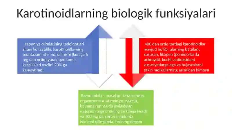 Karatinoidlar 4