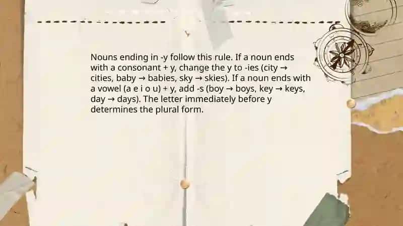 Singular and plural nouns 4