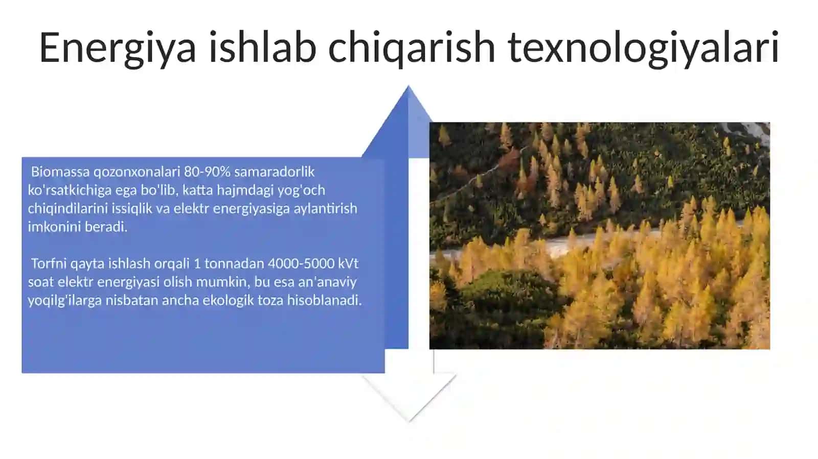 Oʻrmon sanoati energiya ishlab chiqarish sikli 4