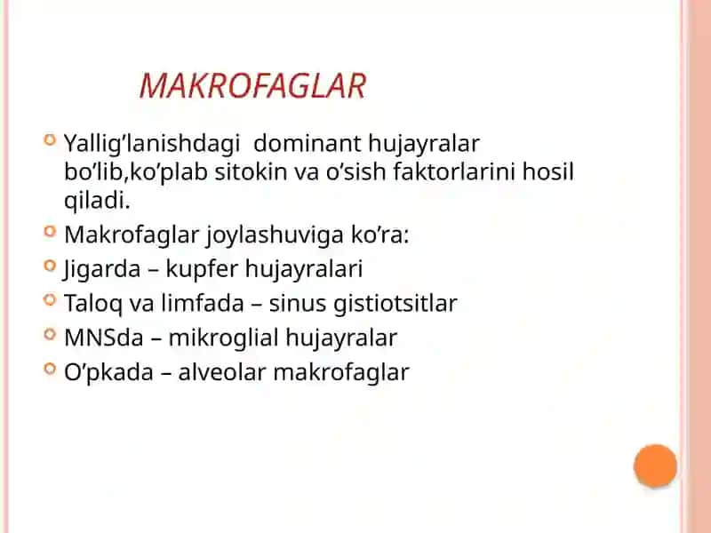 Surunkaliy allig'lanish 4