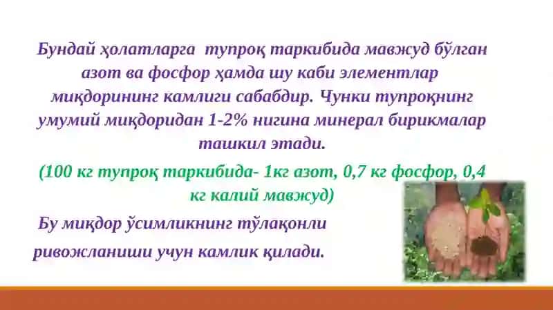 Озиқланиш учун кимёвий элементлар 4