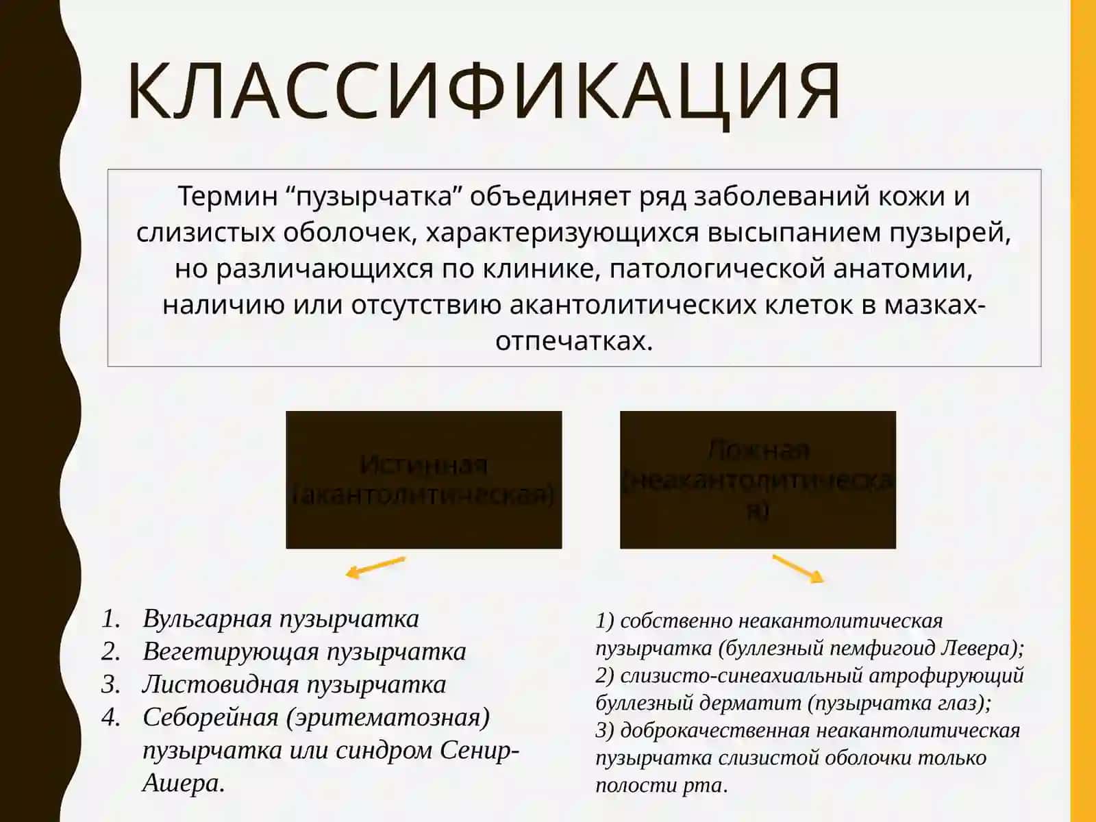 ПУЗЫРЧАТКА 4