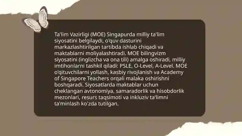 Singapur talim tizimi 4