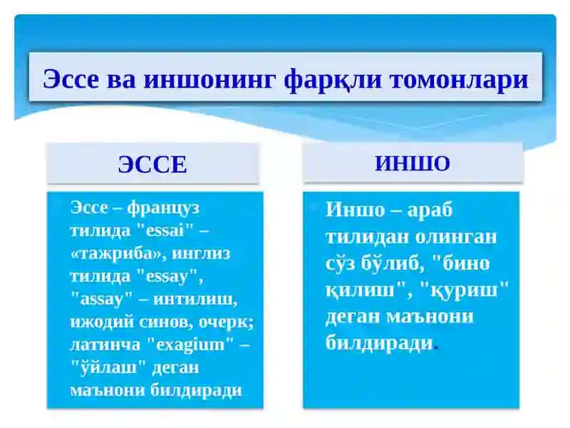 Эссе ёзиш талаблари 4