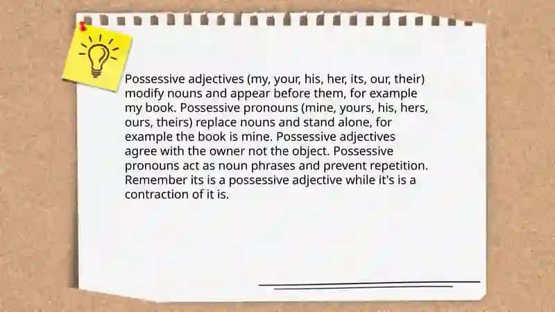 The Pronouns 4