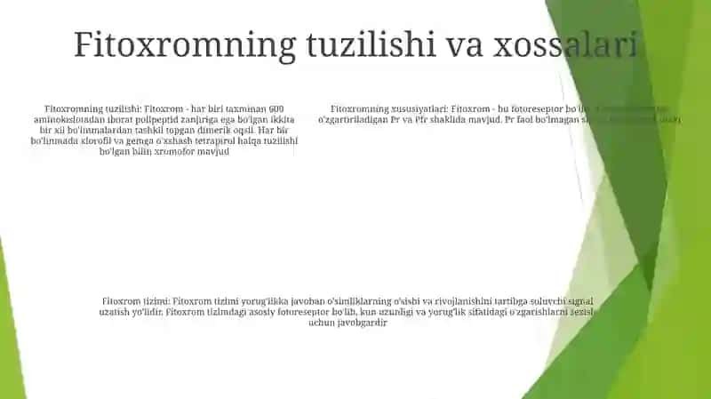 Fitoxrom Tizimi 4
