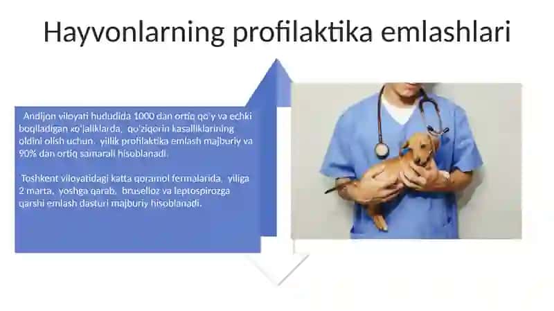Veterinar kasbi 4
