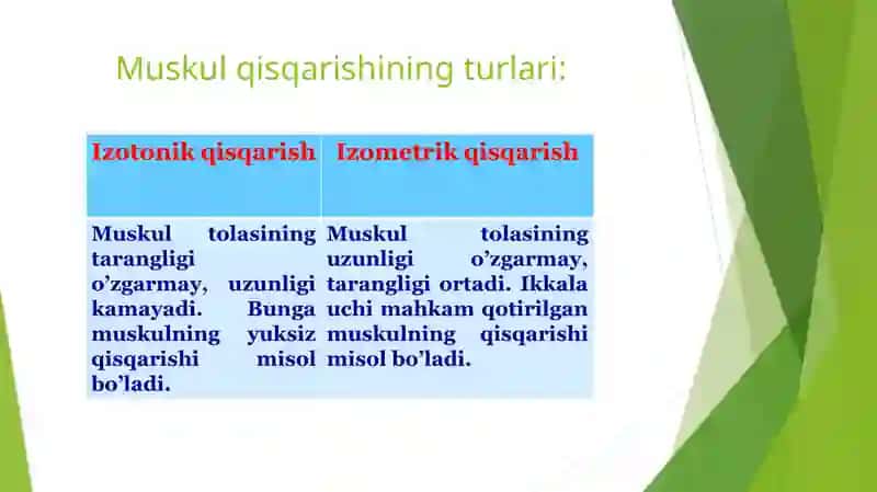 Mushaklar ishi va biomehanikasi 4