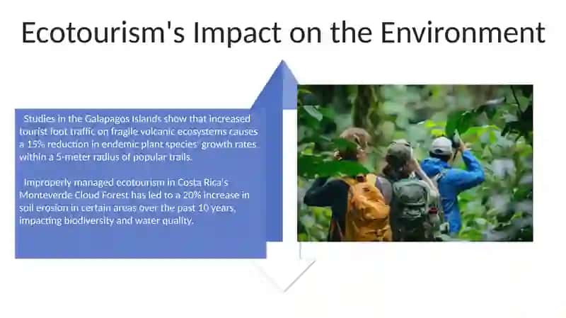 Ecotourism 4