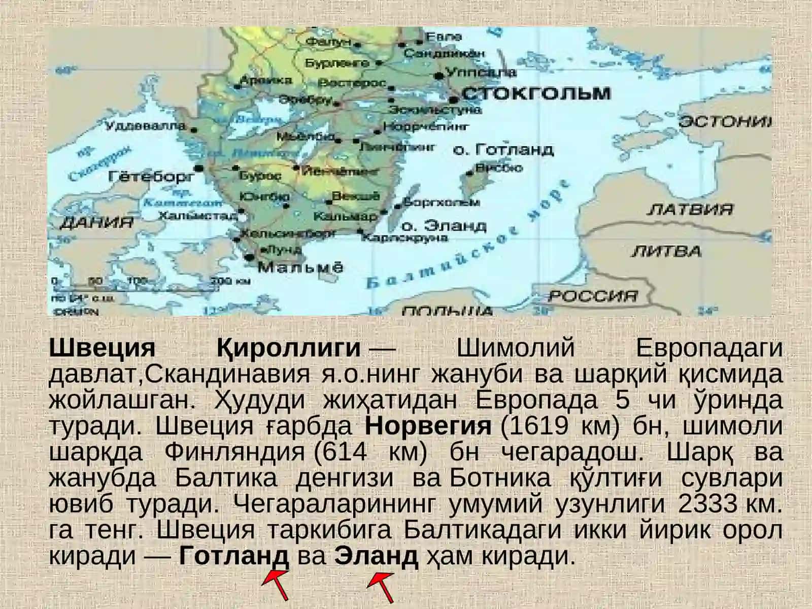 Узбекистон Миллий Университети Тарих факултети “Давлат бошқаруви ва маҳаллий ўз-ўзини бошқарув” йўналиши 1 курс магистрантлари 4