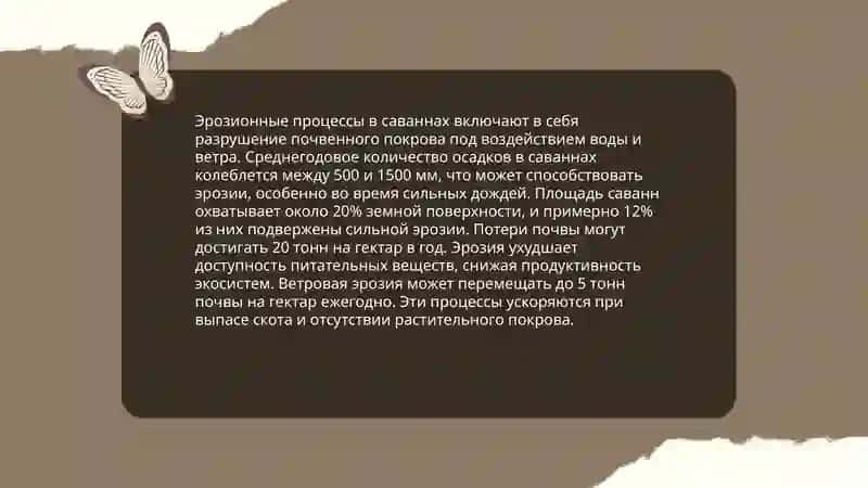 Формы рельефа экваториальных лесов 4
