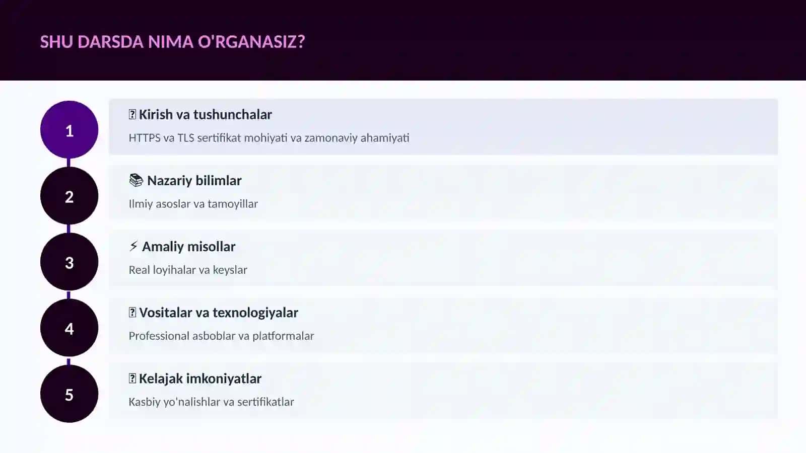 HTTPS va TLS sertifikat 4
