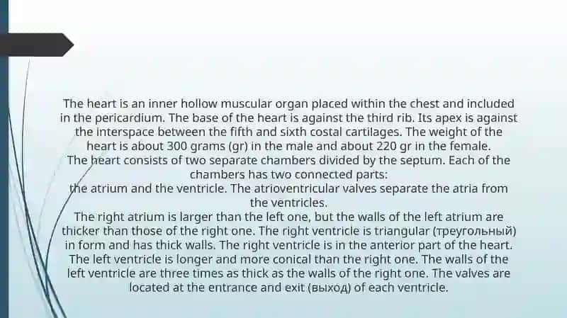The heart and the vascular system 4