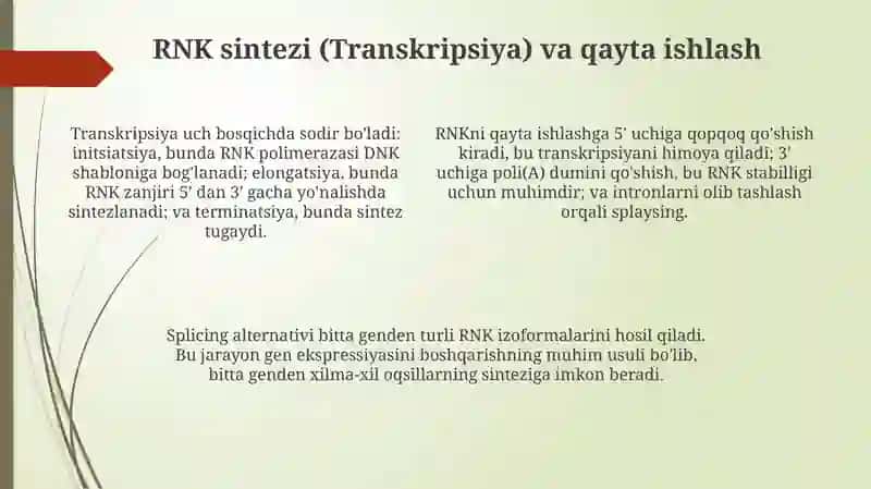 Ribonukleinkislotalar 4
