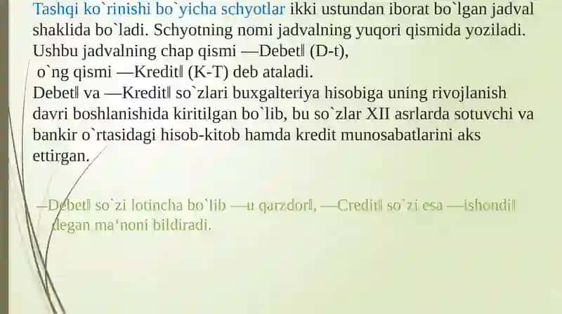 BUXGALTERIYA HISOBI SCHYOTLARI 4